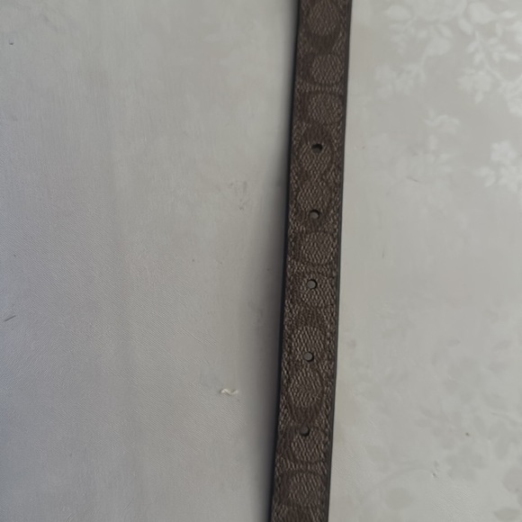 Coach dog collar. Small. - Picture 3 of 4